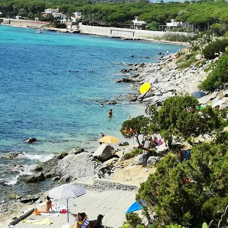 Graziosissima فيلة