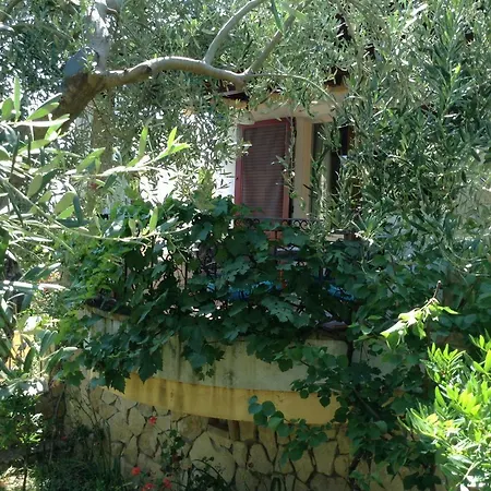 Villa Graziosissima *