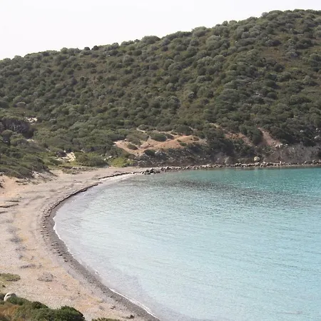 Graziosissima